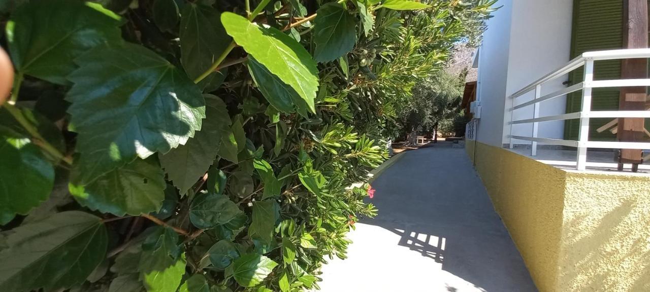 Appartement Leros Eleonas