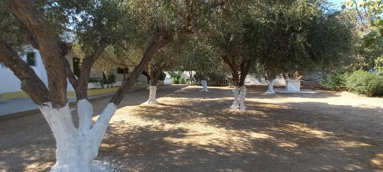 Leros Eleonas Appartement